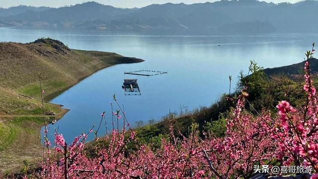 丹东桃花岛：在那桃花盛开的地方，遇见一江春色两国风情
