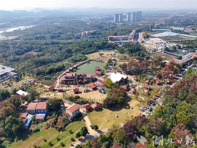 城管助力爆改“西部牛仔小镇”，江夏“边角料”变身网红打卡地