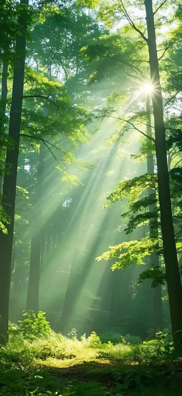 高清风景壁纸