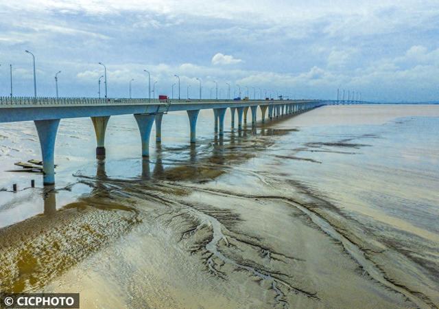 宛如水墨画！钱塘江滩涂出现“潮汐树”景观