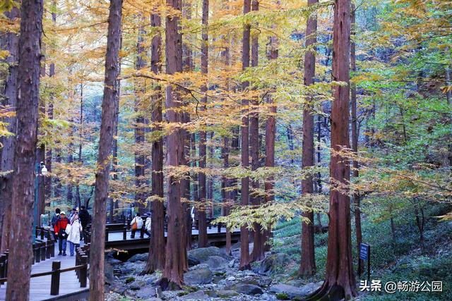 抓住秋天的尾巴，登高望远赏彩叶