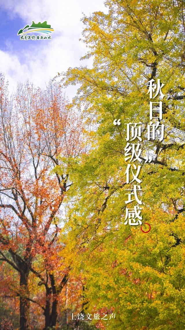 秋日“上”策！“顶级”仪式感做这些就够