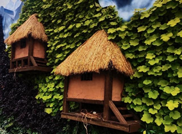 古老的房子逃脱攻略（逃离冰冷洞穴）