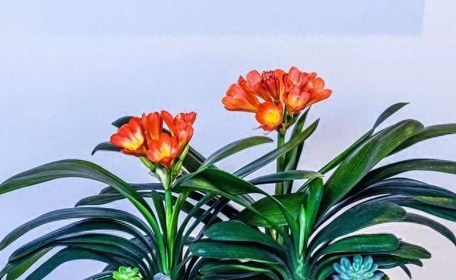 两性关系：男人过65岁，基本上都会有如下现状，具体表现是这样的