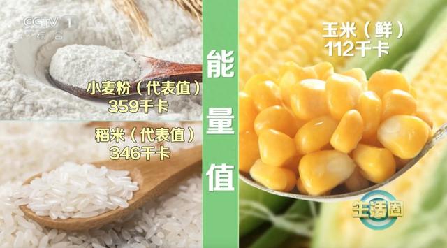 炸蛋人破解版（玉米营养还防癌～但这种玉米易长胖还升糖）