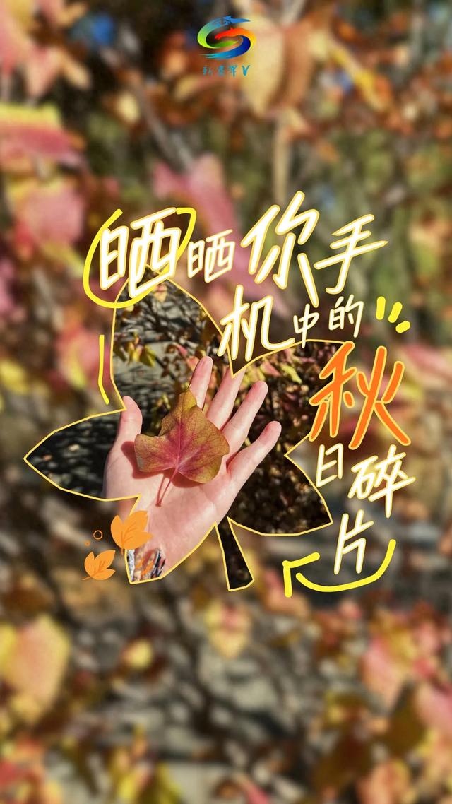 北疆文化 遇鉴赛罕 | 晒晒你手机中的赛罕秋色