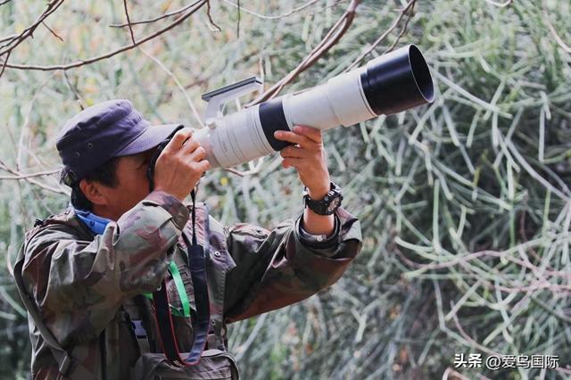 高像素+超长焦+高速连拍：佳能EOS R5II+RF200-800探秘东非动物