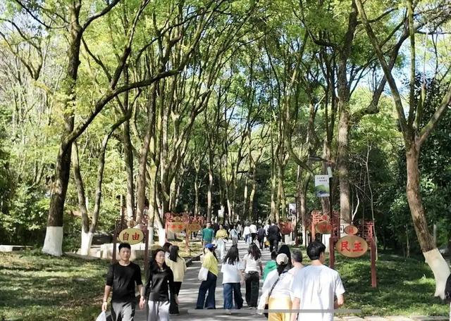 假期第二天，郴州持续火热！