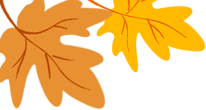 秋染良庆！异木棉粉、三角梅艳，这片土地藏着最缤纷的秋日浪漫