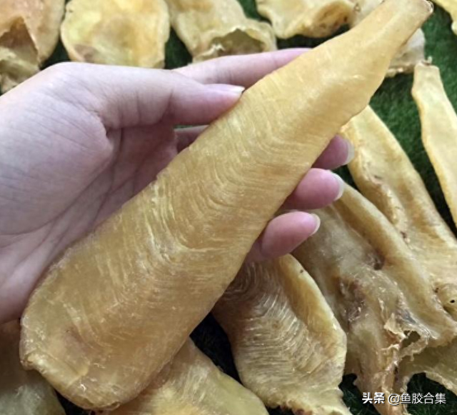 越南花胶好吗 2026年越南花胶好吗有毒吗