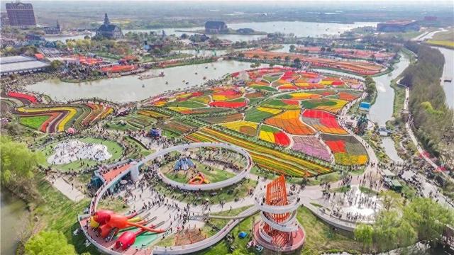 张汉成〡醉在盐城，那一片多情的大丰花海