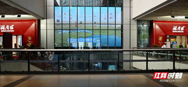 进博湘见·组图丨湖南馆有多美