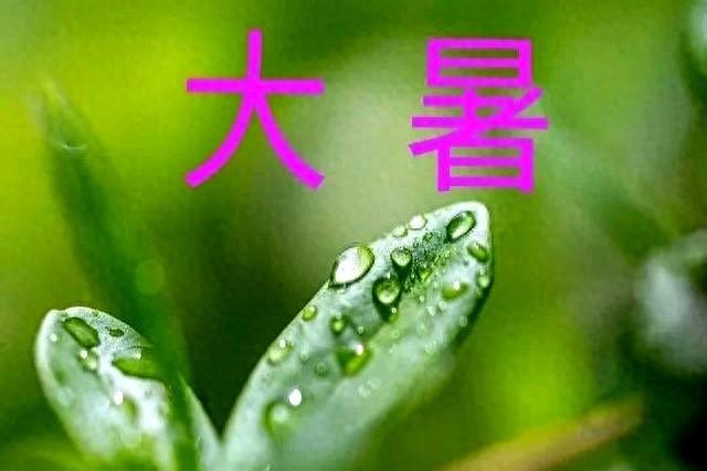 “白天大暑，八月穿棉；晚上大暑，八月桑拿”，今年大暑在几点？