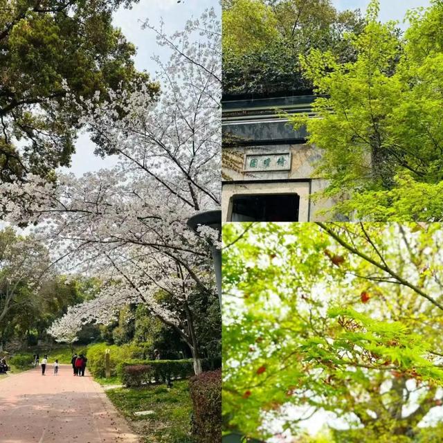 春假6天,不出门