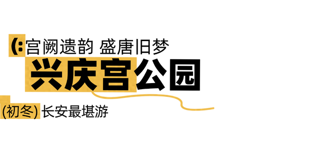 美绝！西安初冬的含金量还在上升！