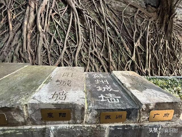 辟谣！襄阳博物馆“被通报批评整改”是不实信息！躬耕地在襄阳