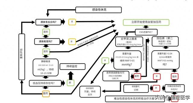 感染性休克处理原则有哪些（流程难治性感染性休克的积极治疗方案）