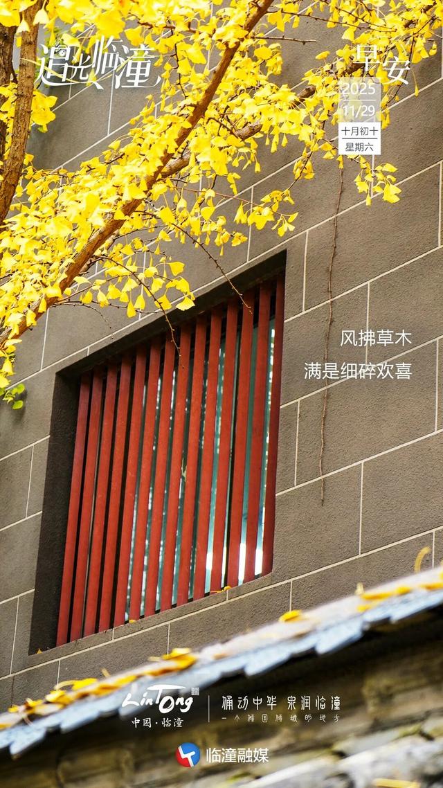 追光临潼 | 风拂草木，叶舞翩翩，早安~