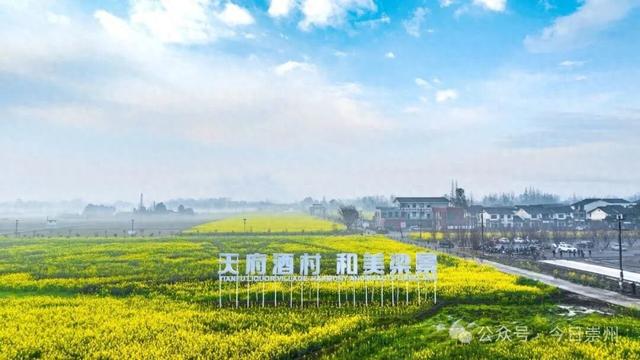 保护规划获批，崇州这个历史文化名村将有新动作！