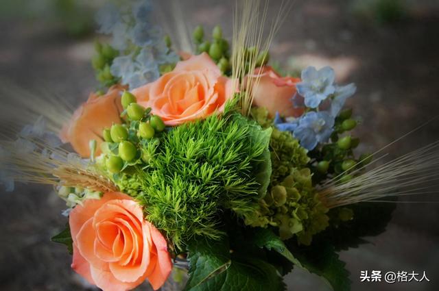 关于情侣间的禁忌（情侣相处中）