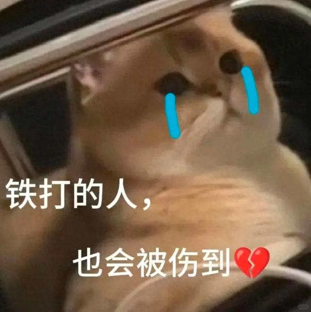 不用签证打卡日韩！体验6天5晚邮轮行，一天炫5顿