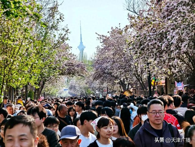 提醒 | 天津这些景区:约满!