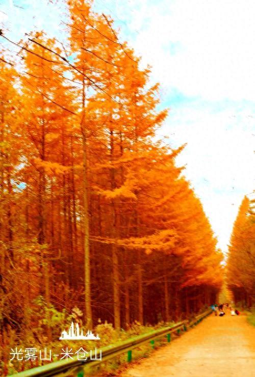 秋假带娃去哪儿？四川景区放大招：学生免票家长半价，错过等一年