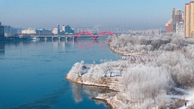 吉林市迎入冬首场雾凇 银装景致添冬日氛围