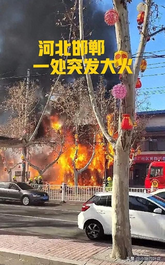山东没想到，河北也没想到，现在的河南，怎么突然这么火了！