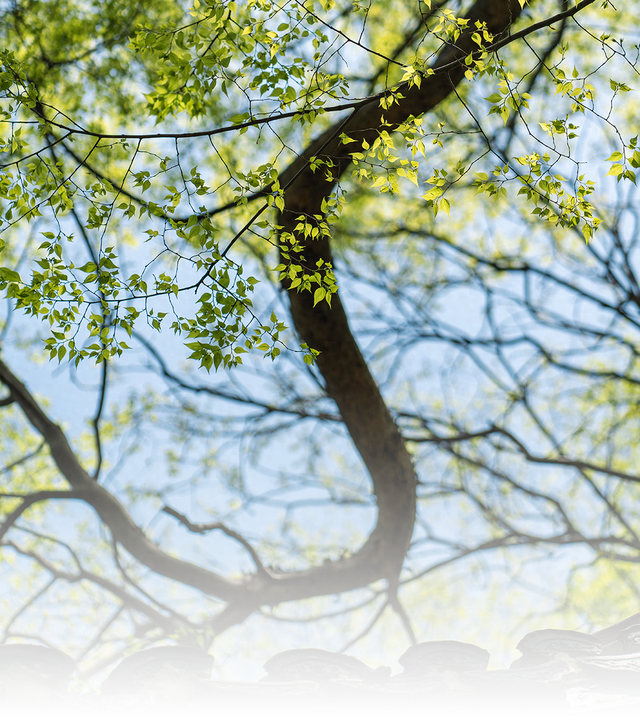 别找了，福安的春天在这里！
