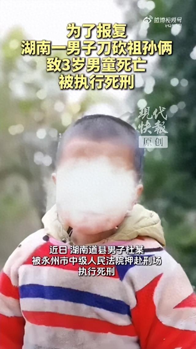 湖南男子入户杀害同村3岁男童，已被执行死刑！曾与男童爷爷因农田排水发生冲突后心生报复，还刺伤男童奶奶