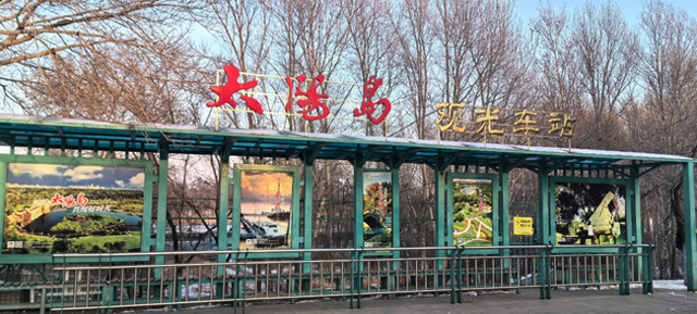 每日10时至17时！逛雪博会不用“暴走”，太阳岛开通免费出园大巴