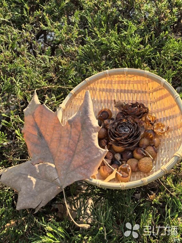 收藏！苏州秋冬公园游玩指南来了