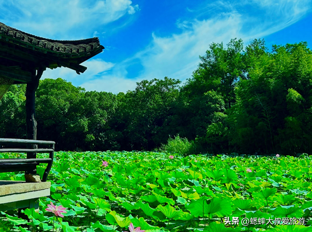 太让人有惊喜了，浙江秋日千年古风地，每一寸都浸润着文人风骨！