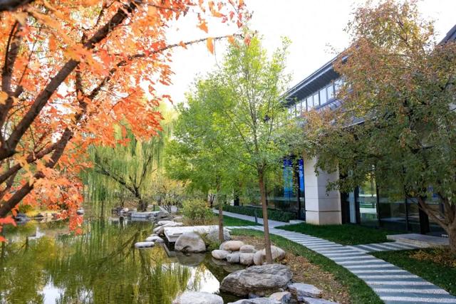 从从容容游刃有余！把江南的秋天“搬进”石景山——