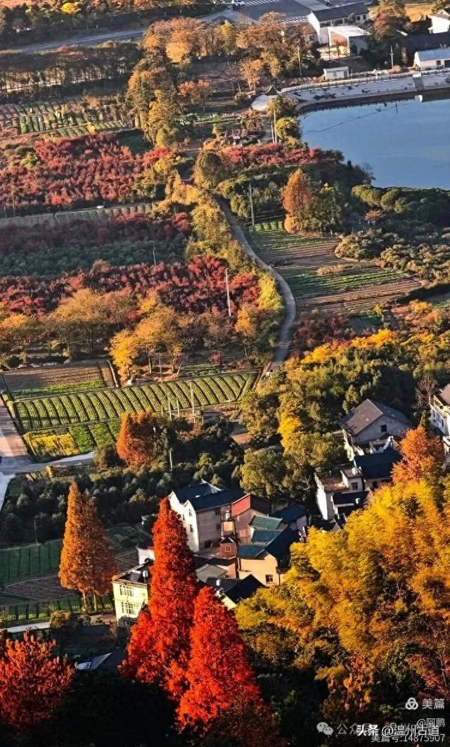 浙处丹霞地貌秋色斑斓超壮观,秋日必打卡之地!