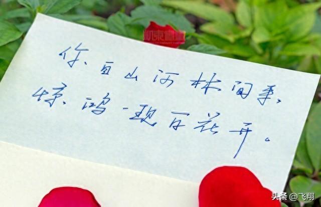 一个男人写给情人的一句话	，为何让无数男女为之潸然泪下