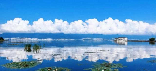 9.58公里生态绿脉新生！洱海南部湖滨带织密国际湿地城市“生态网”