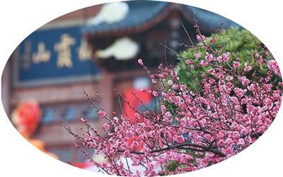 南京栖霞山：遇见“贺花神”之美