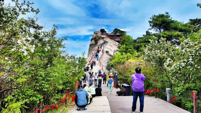 2026清明假期渭南文旅市场交出亮眼答卷