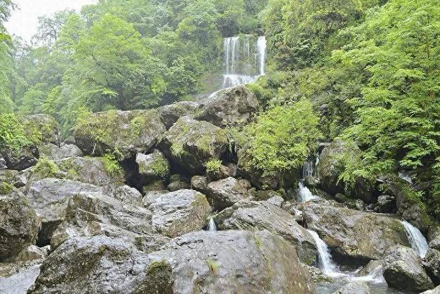 这个五一游四川