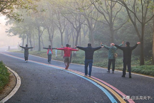 晨光与深呼吸：在同里湿地公园的万步悠然