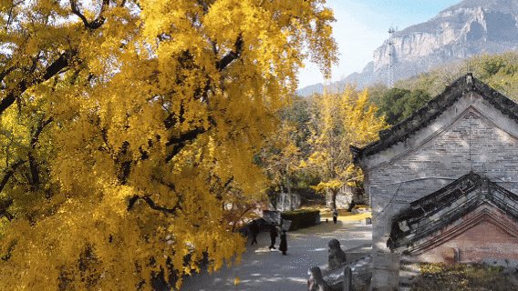 新乡：身处白云间，自在天地宽