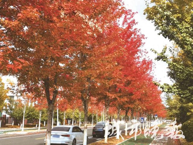 长春这里,太出片了!