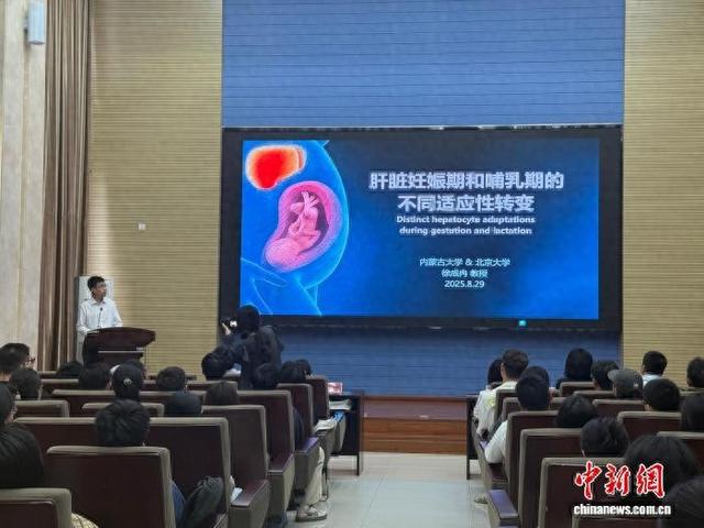 内蒙古大学揭开母体肝脏在孕育与哺乳中的独特代谢秘密
