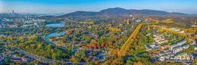 没来过紫金山，就不算看过南京的秋