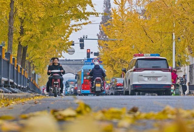 东湖评论丨赏秋湖北，是层林尽染的绚烂经济学