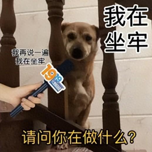 三国杀弱智游戏（排位连跪的真相）