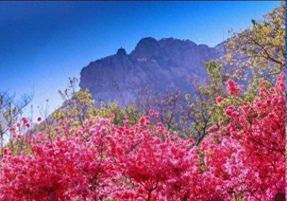 齐鲁超赛招远“文旅大礼包”来了！凭借这些，景区、酒店都有优惠→