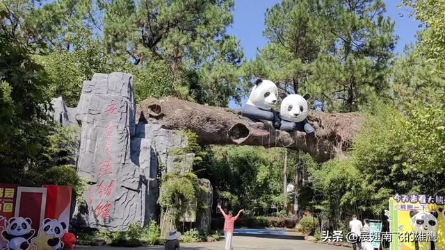 《游安吉熊猫馆》